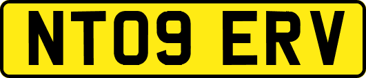 NT09ERV