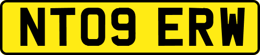 NT09ERW