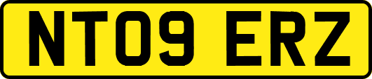NT09ERZ