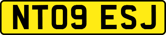 NT09ESJ