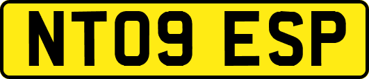 NT09ESP
