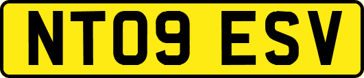 NT09ESV
