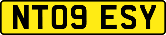 NT09ESY
