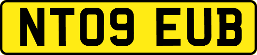 NT09EUB