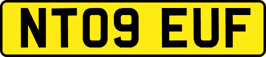 NT09EUF