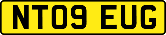 NT09EUG