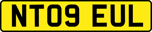 NT09EUL