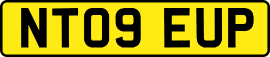NT09EUP