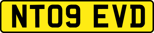 NT09EVD