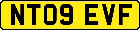 NT09EVF