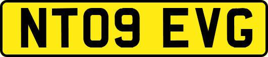 NT09EVG