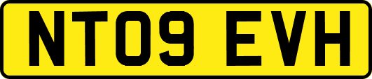 NT09EVH