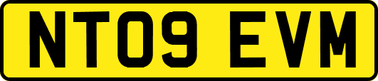 NT09EVM