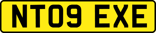 NT09EXE