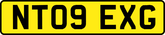 NT09EXG