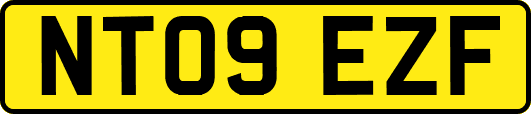 NT09EZF
