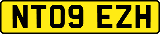 NT09EZH