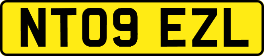 NT09EZL