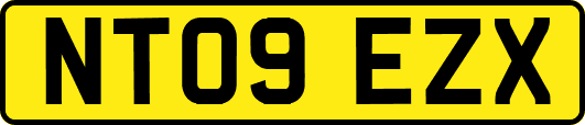 NT09EZX
