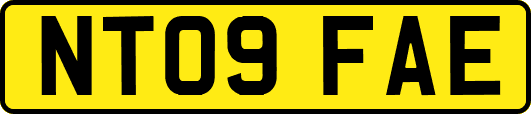 NT09FAE