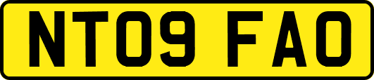 NT09FAO