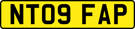 NT09FAP