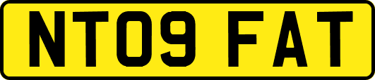 NT09FAT