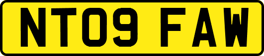 NT09FAW