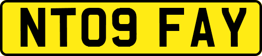 NT09FAY