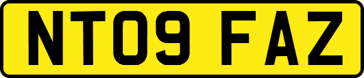 NT09FAZ