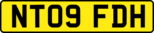 NT09FDH