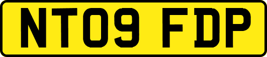 NT09FDP