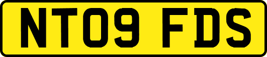 NT09FDS