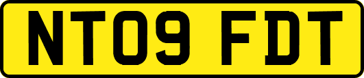 NT09FDT