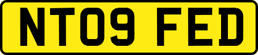 NT09FED