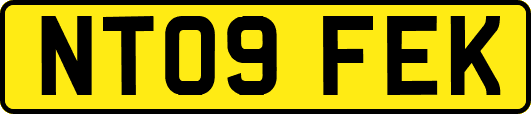 NT09FEK