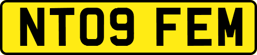 NT09FEM