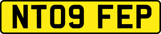 NT09FEP
