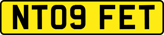 NT09FET