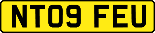 NT09FEU