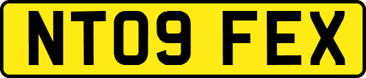 NT09FEX