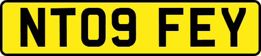NT09FEY