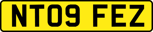 NT09FEZ