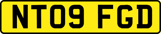 NT09FGD