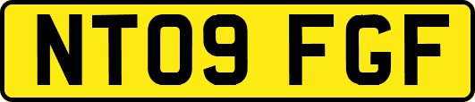 NT09FGF