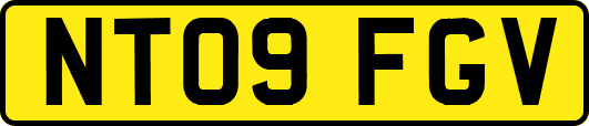 NT09FGV