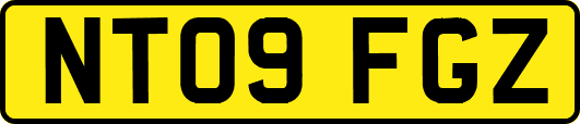 NT09FGZ