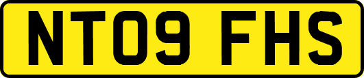 NT09FHS