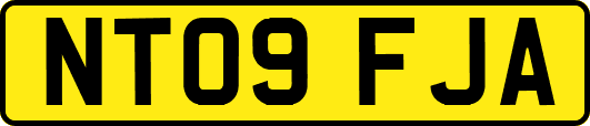 NT09FJA