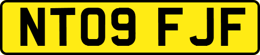 NT09FJF